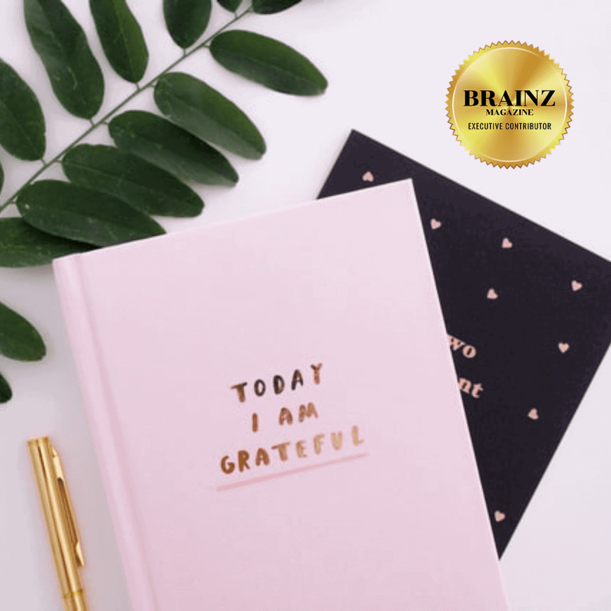 Gratitude journal - today I am grateful